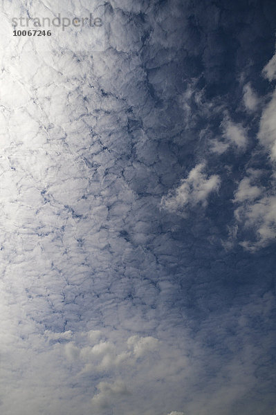 Große Schäfchenwolken (Altocumulus)