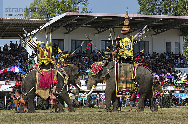 Kriegselefanten beim Kampf  Elefantenfest  Elephant Round Up  Surin  Provinz Surin  Isan  Isaan  Thailand  Asien