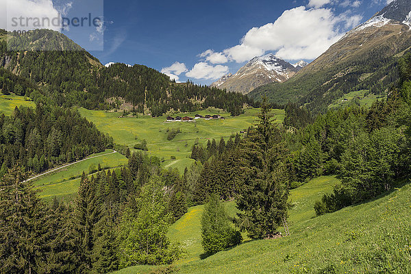 Gebirgslandschaft mit Bauernhäusern  bei Prägraten am Großvenediger  Virgental  Osttirol  Österreich  Europa