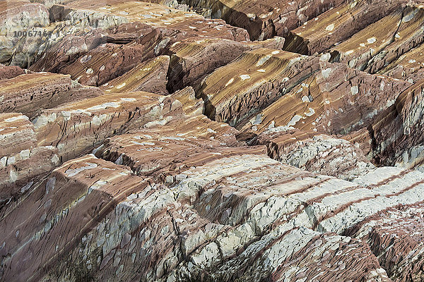 Durch Eisenkristalle rötlich gefärbter Kalkstein und weiß-gelblicher Dolomit  Meeressediment  Segelsällskapet oder Segelselskapets Fjord  Nordost-Grönland-Nationalpark  Grönland  Nordamerika