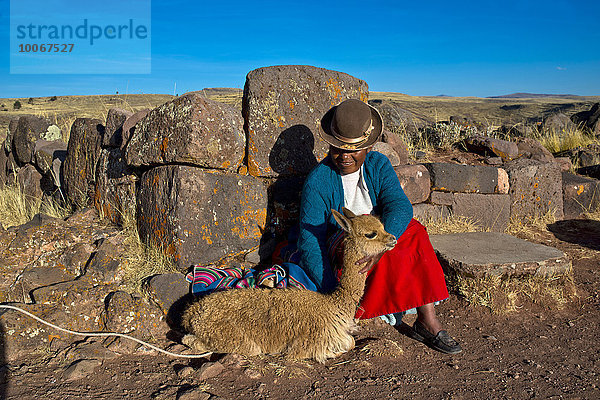 Aymara-Indianer Frau in traditioneller Kleidung sitzt an Steinmauer mit Guanako (Lama guanicoe)  Ruinen der Grabtürme von Sillustani  Puno  Peru  Südamerika