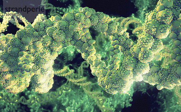 Grünes Doppelhelix-Molekülmodell