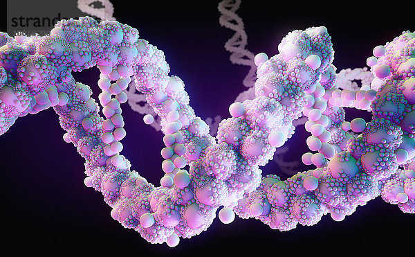 Pinkfarbenes Doppelhelix-Molekülmodell