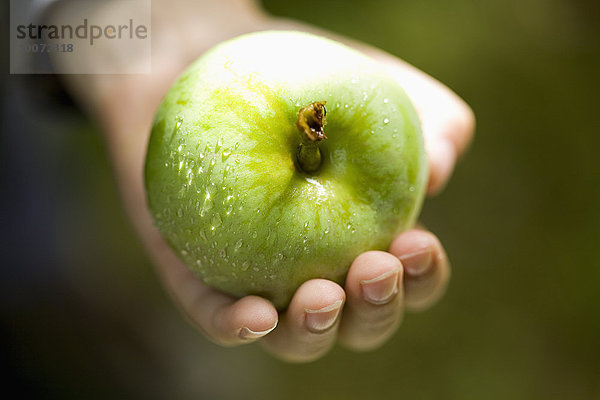 Hand hält frischen grünen Apfel