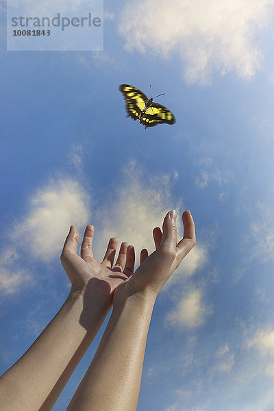 Europäer Frau geben Himmel blau Schmetterling