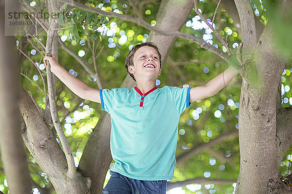 niedrig Europäer Junge - Person Baum Ansicht Flachwinkelansicht Winkel klettern