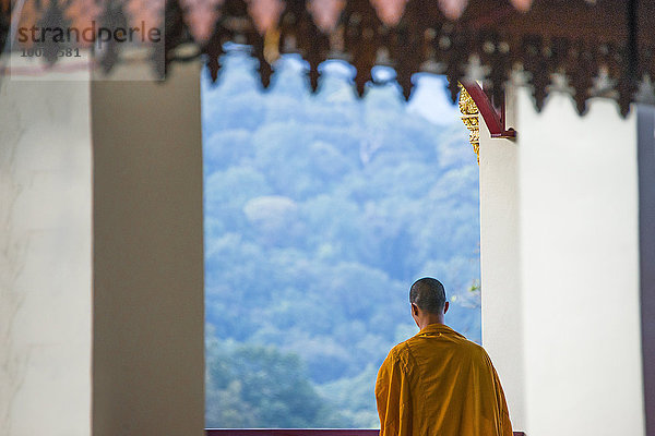 Landschaftlich schön landschaftlich reizvoll Bewunderung Ansicht fünfstöckig Buddhismus Mönch