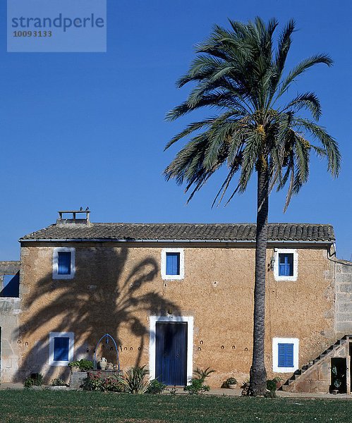 Haus im Süden mit Palme