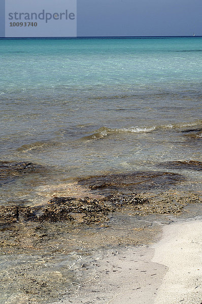 Meerwasser am Strand mit Algen