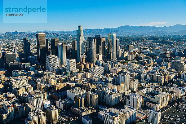 Luftaufnahme von Los Angeles und Stadthochhäusern  Kalifornien  USA