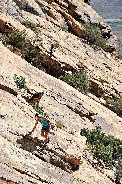 Junge Klettererin klettert steile Felswand  Mount Wilson  Nevada  USA