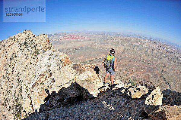 Rückansicht einer jungen Bergsteigerin mit Blick vom Gipfel des Mount Wilson  Nevada  USA