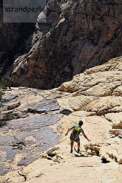 Rückansicht einer jungen Kletterin  die den Fels hinunterklettert  Mount Wilson  Nevada  USA
