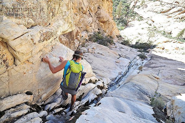 Rückansicht einer jungen Bergsteigerin  die eine Spalte hinunterklettert  Mount Wilson  Nevada  USA