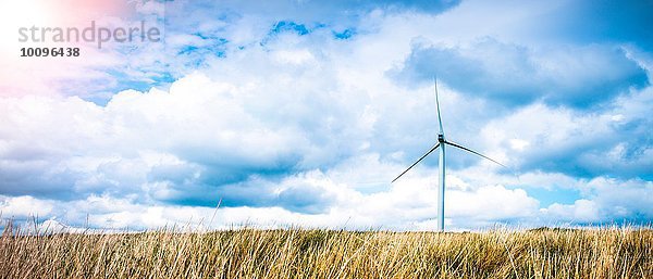 Panoramablick auf langes Gras und Windkraftanlage  UK