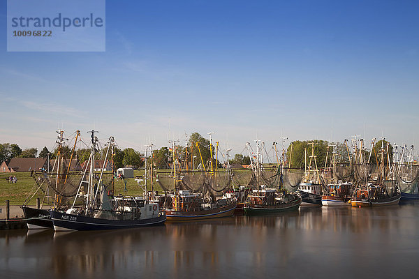 Krabbenkutter im Hafen  Greetsiel  Leybucht  Krummhörn  Ostfriesland  Niedersachsen  Deutschland  Europa