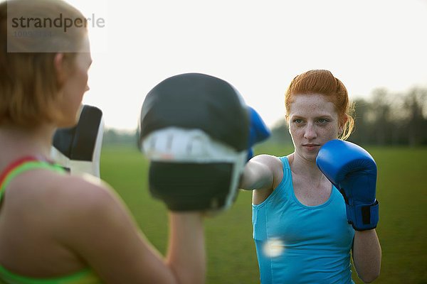 Zwei Frauen beim Training mit Boxhandschuhen im Park