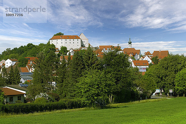 Ortsansicht mit Burg und Pfarrkirche St. Barbara  Lupburg  Oberpfalz  Bayern  Deutschland  Europa