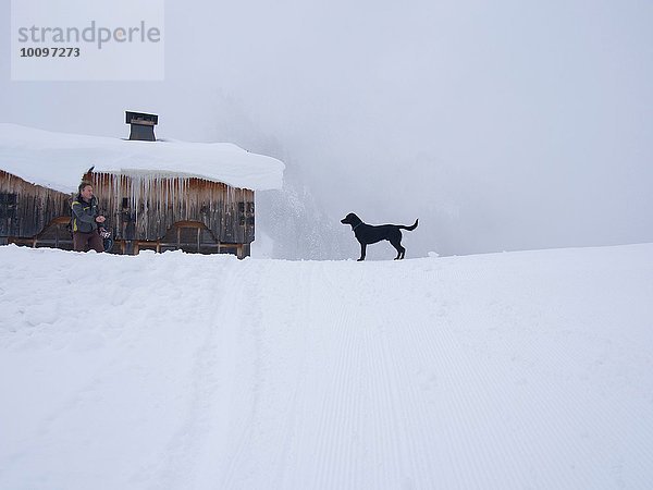 Hund auf verschneiter Landschaft  Flaine  Frankreich
