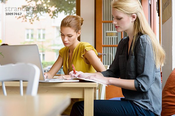 Zwei junge Frauen schreiben Notizen und benutzen Laptop im Cafe