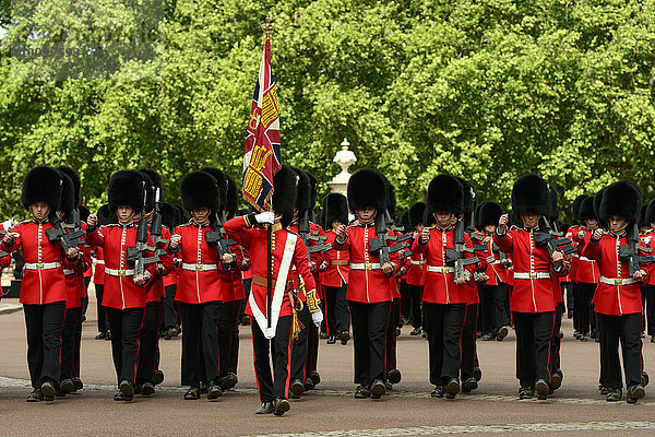 Wachablösung  Buckingham Palast  London  England  Großbritannien  Europa