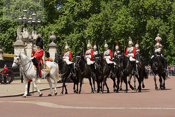 Wachablösung  Buckingham Palast  London  England  Großbritannien  Europa