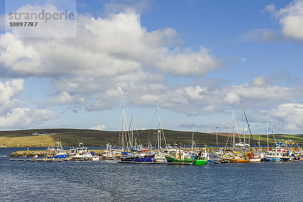 Yachthafen und Fischereihafen  Lerwick  Mainland  Shetland-Inseln  Schottland  Großbritannien  Europa