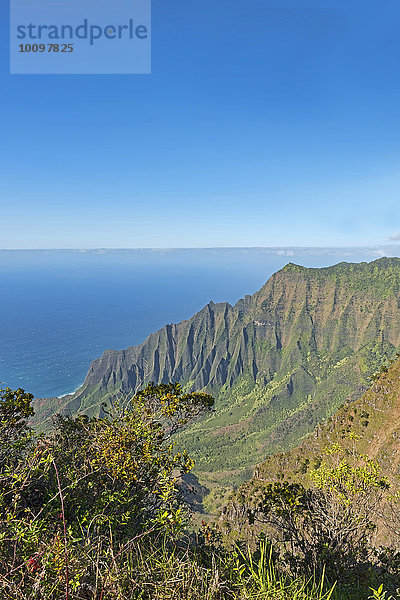 Kokee State Park  Kauai  Hawaii  USA  Nordamerika