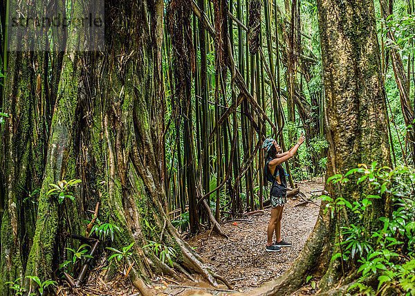Junge Touristenfotografin auf Smartphone im Dschungel  Manoa Falls  Oahu  Hawaii  USA