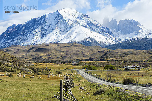 Cuernos del Paine  Nationalpark Torres del Paine  Patagonien  Chile  Südamerika