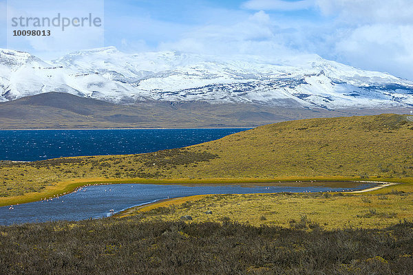 Landschaft im Nationalpark Torres del Paine  Patagonien  Chile  Südamerika