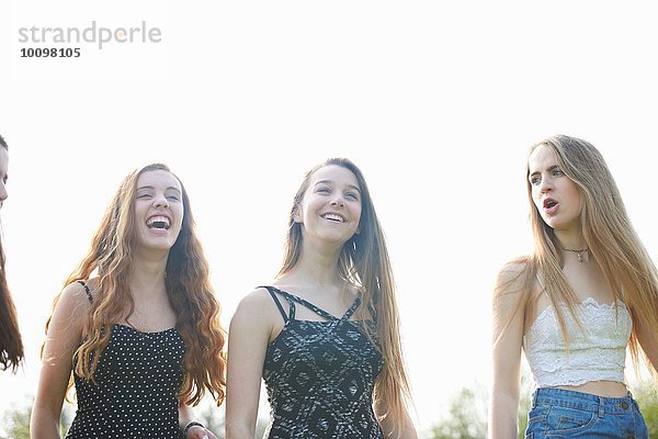 Vier Teenager-Mädchen lachen und plaudern im Park