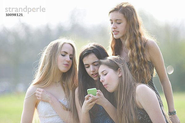 Vier Teenager-Mädchen beim Lesen von Smartphone-Texten im Park