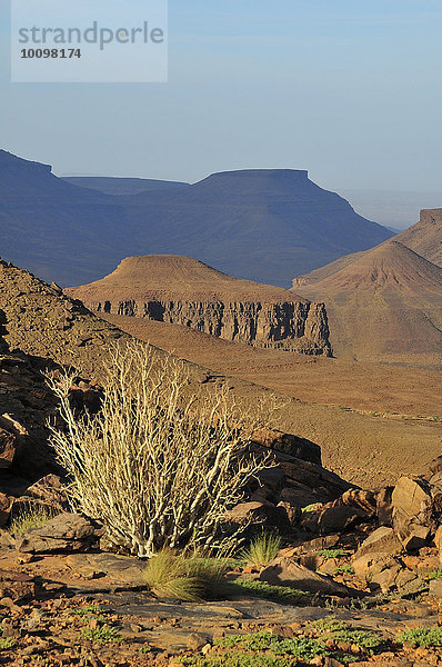Berglandschaft am Amogjar Pass  bei Atar  Region Adrar  Mauretanien  Afrika