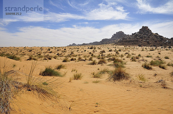 Wüstenlandschaft  Strecke Atar nach Tidjikja  Region Adrar  Mauretanien  Afrika
