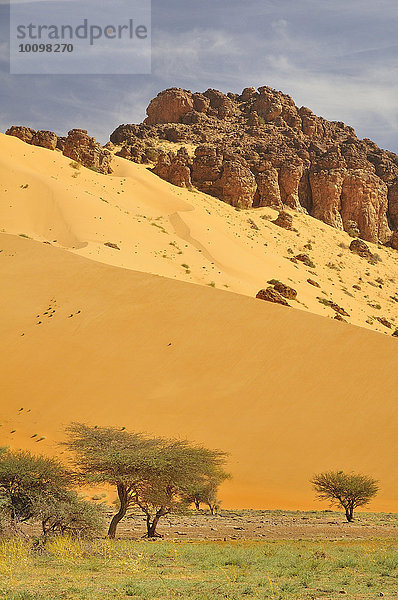 Von einer Sanddüne fast zugedeckter Hügel  Strecke Atar nach Tidjikja  Region Adrar  Mauretanien  Afrika
