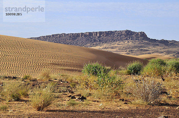 Wüstenlandschaft mit Sanddüne und felsigem Hügel  Strecke Atar nach Tidjikja  Region Adrar  Mauretanien  Afrika