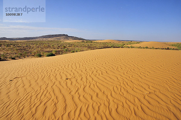 Wüstenlandschaft mit Sanddüne und felsigem Hügel  Strecke Atar nach Tidjikja  Region Adrar  Mauretanien  Afrika