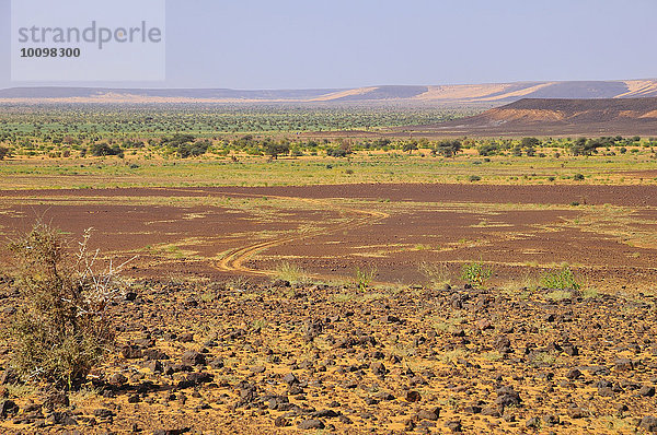 Wüstenlandschaft mit Fahrzeugspuren  Strecke Atar nach Tidjikja  Region Adrar  Mauretanien  Afrika