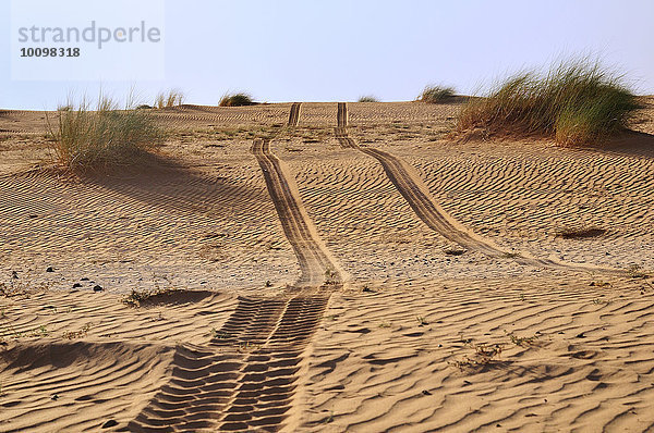 Fahrzeugspuren im Wüstensand  Strecke Atar nach Tidjikja  Region Adrar  Mauretanien  Afrika