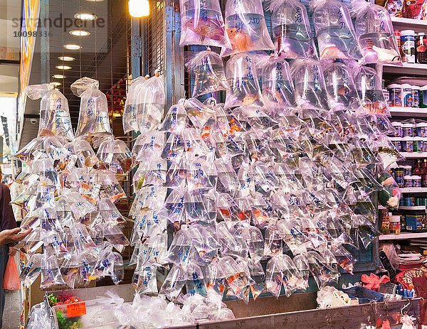 Fisch zu verkaufen  Fischmarkt  Mong Kok  Hong Kong  China