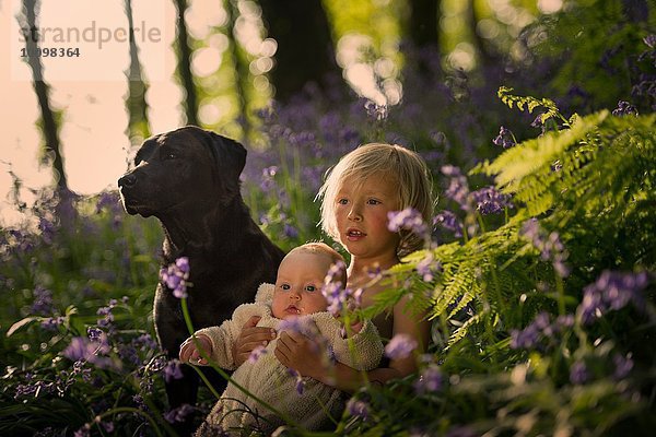 Kleiner Junge sitzend mit kleiner Schwester und Hund im Blauglockenwald