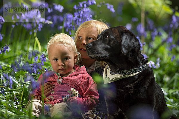 Kleiner Junge sitzend mit kleiner Schwester und Hund im Blauglockenwald