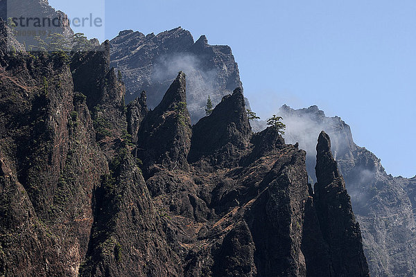 Vulkanfelsen  Lavafelsen  Nationalpark Caldera de Taburiente  La Palma  Kanarische Inseln  Spanien  Europa