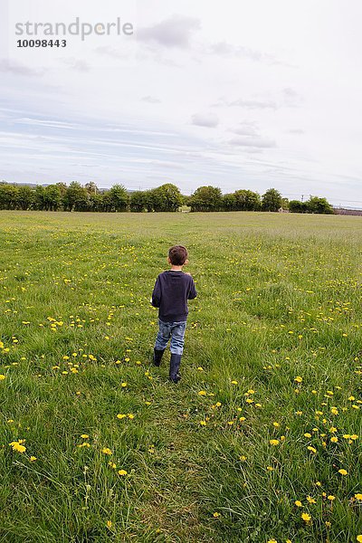 Rückansicht eines Jungen  der durch ein Feld von Löwenzahn und Butterblumen läuft.