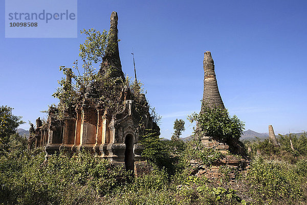 Pagodenwald  Stupas  bei Indein am Inle-See  Shan-Staat  Myanmar  Asien