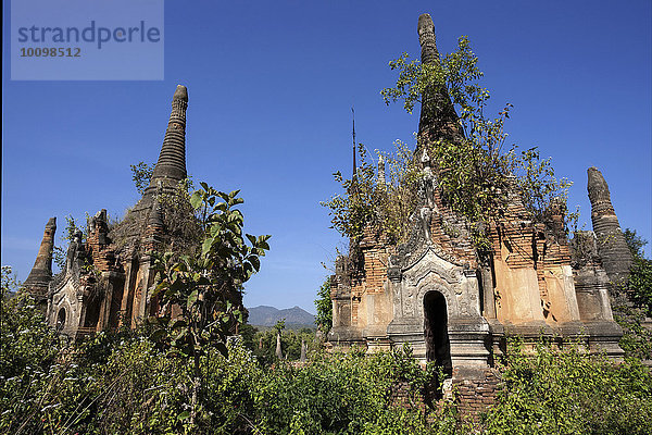 Pagodenwald  Stupas  bei Indein am Inle-See  Shan-Staat  Myanmar  Asien