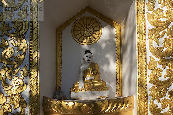 Buddha-Schrein  Hsu Taung Pye-Pagoden  Kalaw  Shan-Staat  Myanmar  Asien