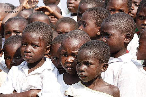 Schüler  Gruppe  Morgenappell auf dem Schulhof  Kasongo-Lunda  Kawongo Distrikt  Provinz Bandundu  Republik Kongo