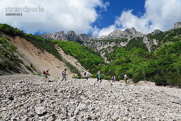Fünf reife Wanderer wandern im Tal  Grigna  Lecco  Lombardei  Italien